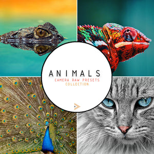 Animals - Camera Raw