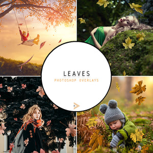 Leaf - Overlays